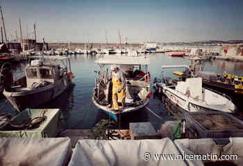 Les plages du port de Cros-de-Cagnes interdites à la baignade