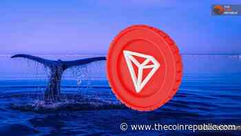 Crypto Whales Are Going For Tron (TRX) This Time, Why? - The Coin Republic