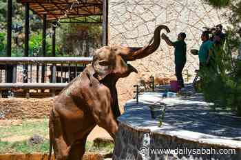 Turkey's Gaziantep zoo animals cool off with special cocktails | Daily Sabah - Daily Sabah