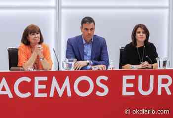 Sánchez perfila una «renovación profunda» en el PSOE con una purga en la cúpula que empezará el lunes - Okdiario