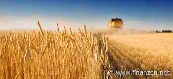 Weizen und Co.: Ukraine exportierte trotz Krieg in den letzten 12 Monaten mehr Getreide