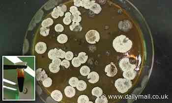 Bacteria-fueled jets? Scientists harvest a molecule that could one day power rockets to space