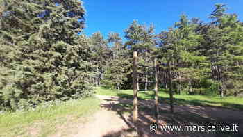 Comune di Avezzano, Istituto Agrario e centro giuridico insieme per salvaguardare la pineta - MarsicaLive