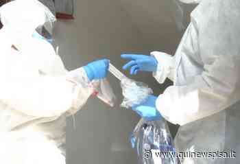 Usca, l'addio preoccupa la federazione dei medici - Qui News Pisa