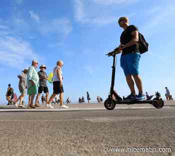 "On a l'impression qu'on a perdu le contrôle du phénomène": ces conducteurs de trottinettes à Nice donnent leurs point de vue