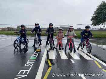 Bike project helps to promote healthy lifestyles and keep children safe on the roads - Sunderland Echo