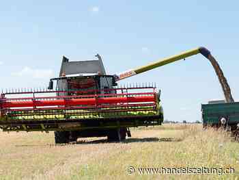 Ukraine exportiert 2021/22 trotz Krieg mehr Getreide