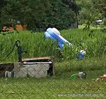 Hubschrauber wirbelt Kleingärten auf - Kenzingen - Badische Zeitung