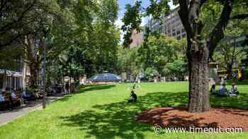 Wynside Out | Things to do in Sydney - Time Out