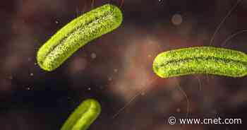 Listeria Outbreak Possibly Linked to Florida, CDC Says     - CNET