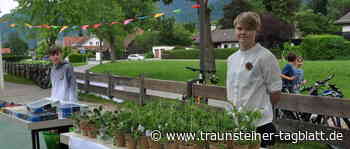 Grassau: Autofreie und Nachhaltigkeitswoche an der Schule Grassau - Traunsteiner Tagblatt