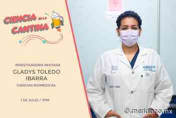 La Ciencia llega a bares y cafeterías de Tepic - Meridiano.mx