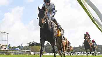 Sharrock sets sights on big targets for trio at Hastings - New Zealand Herald