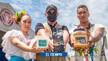 Colombia: 285 municipios libres de minas antipersona en los últimos 5 años - El Tiempo