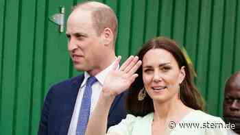 Prinz William und Herzogin Kate: So unglaublich teuer war ihre Karibik-Reise - STERN.de