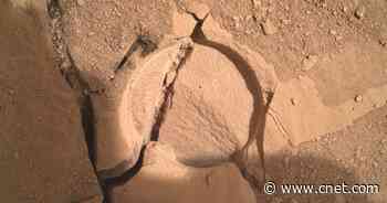 Funky Mars Rocks Complicate NASA Rover's Sampling Dreams     - CNET