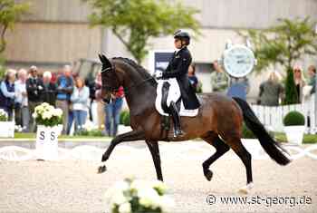 CHIO Aachen: Dorothee Schneider zieht Showtime zurück, keine WM für das Paar - - St.GEORG