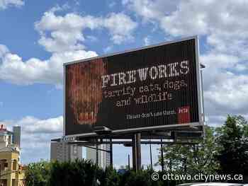 Petition asks to reconsider nightly fireworks over Niagara Falls - Ottawa.CityNews.ca