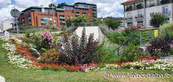 Alba rappresentante italiana al concorso "Communities in bloom" - LaVoceDiAlba.it