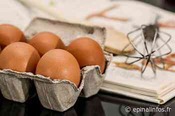 Salmonelles - Des barquettes d'œufs rappelées massivement dans toute la France - Epinal infos - Epinal Infos
