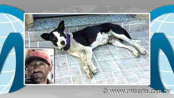 Mais um andarilho morre na via pública em Juazeiro e é velado pelo cão entristecido - miseria.com.br