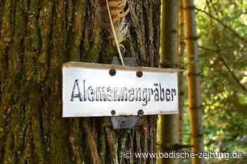 Das Alemannengrab in Ehrenkirchen wird jetzt besser geschützt - Ehrenkirchen - Badische Zeitung