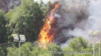 Messina, bruciano le colline della zona Nord. Incendio spento dopo 20 ore FOTO - VIDEO - Gazzetta del Sud - Edizione Messina