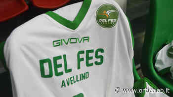 Niccolò Petrucci in biancoverde, la DelFes ufficializza la nuova ala - Orticalab