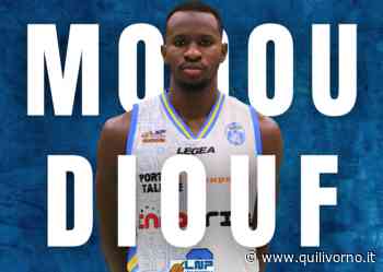 Pielle, primo colpo di mercato: ecco l'ala-pivot Diouf - QuiLivorno.it