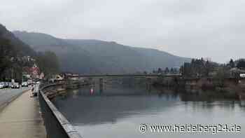 Heidelberg: 1,3 Mio. Euro! So teuer wird die Sicherung der Ziegelhäuser Brücke - heidelberg24.de