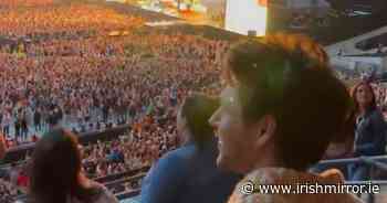 Niall Horan spotted amongst crowd at Harry Styles concert as One Direction fans rejoice - Irish Mirror