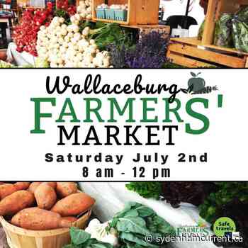 Wallaceburg Framer's Market is this weekend! - Sydenham Current