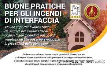 Il Comune di Vercelli aderisce alla Campagna Anti Incendio Boschivo 2022 - Città di Vercelli