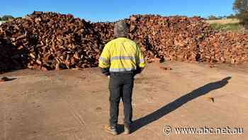 Burning issue as suppliers say forthcoming logging ban has already affected wood supplies