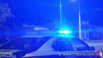 Hermosillo: Tres detenidos en diferentes puntos de la ciudad por agresión a sus allegados - TRIBUNA