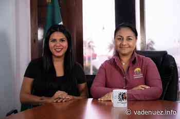 El Ayuntamiento de Manzanillo amplía el número de beneficiarios del Programa Emprendiendo mi Autoempleo - Noticias Va de Nuez