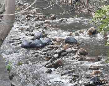 Look: Rubbish in river as fly-tipper fined in court - South Wales Argus
