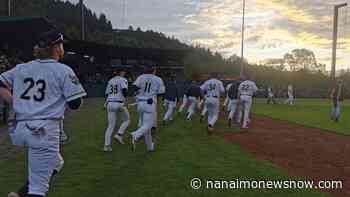 Nanaimo NightOwls preparing for showcase of local baseball talent - Nanaimo News NOW