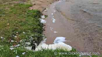 State health officials warn to avoid any foam on Michigan lakes, rivers - WDIV ClickOnDetroit