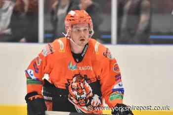 Why Hull Seahawks coach Matty Davies is so delighted to bring Ross Connolly on board - The Yorkshire Post