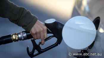 Motorists should prepare for fuel prices to rise in September when fuel tax cut ends, Treasurer says