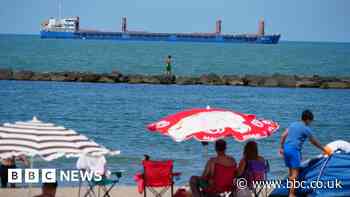 Ukraine demands the seizure of Russian-flagged grain ship off Turkey