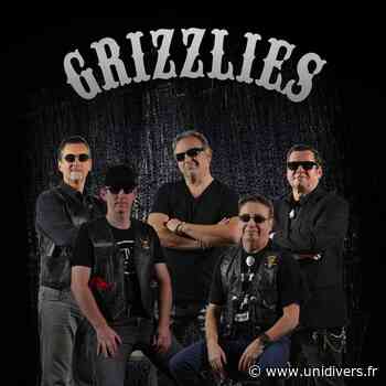 The Grizzlies en concert Hermes Hermes - Unidivers