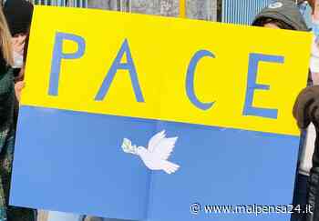 I profughi ucraini arrivati a Gallarate superano quota 200. I nuovi aiuti - malpensa24.it