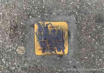 Vandalizzata a Gallarate la pietra d'inciampo di Clara Pirani, la maestra deportata a Auschwitz - varesenews.it