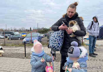 "Give peace a chance": al Melo di Gallarate si fa il punto sull'aiuto umanitario per l'Ucraina - varesenews.it