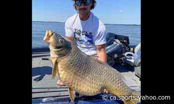 Angler fishing for bass shatters 44-year-old carp record - Yahoo Canada Sports