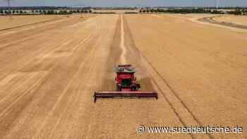 Agrar - Dresden - Die Mähdrescher rollen: Früher Erntestart für Bauern - Wirtschaft - Süddeutsche Zeitung - SZ.de
