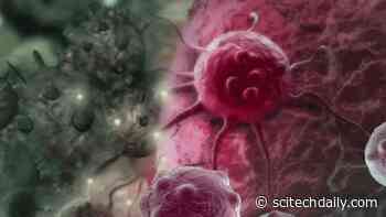 Turning Harmless Cells Into Ruthless Tumor and Virus Killers