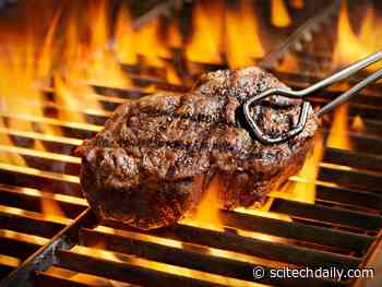 BBQ Cooking: Does Grilling Cause Cancer?